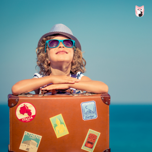 The Cultural Navigator course